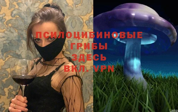 меф Приозерск